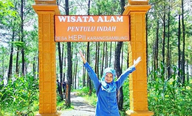 top 10+ gambar bukit pentulu indah kebumen, harga tiket masuk, lokasi alamat, rute jalur menuju wisata + jam buka tutup