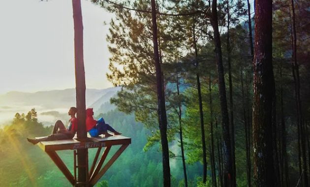 Top 10+ Gambar Bukit Pentulu Indah Kebumen, Harga Tiket Masuk, Lokasi Alamat, Rute Jalur Menuju Wisata + Jam Buka Tutup