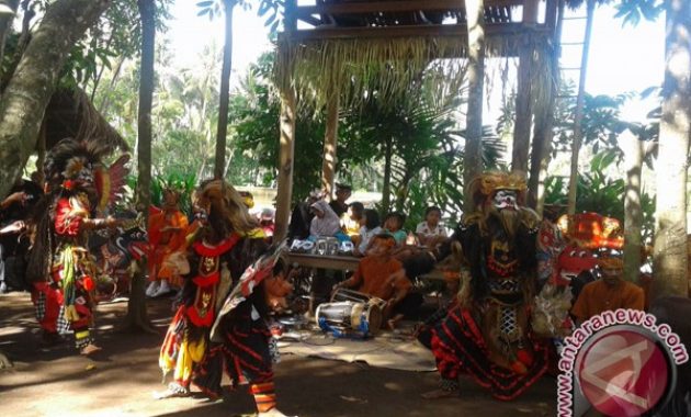 top 10+ gambar desa wisata osing kampung kemiren banyuwangi, hotel cottage penginapan + asal usul