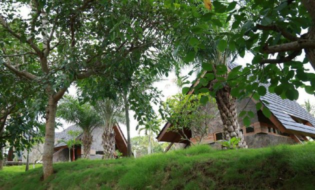 top 10+ gambar desa wisata osing kampung kemiren banyuwangi, hotel cottage penginapan + asal usul