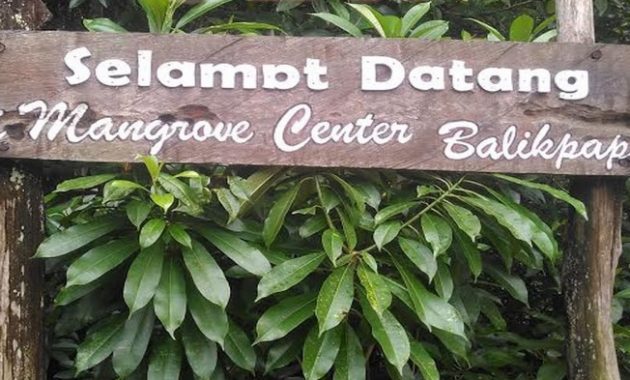 top 10+ gambar hutan mangrove balikpapan, sejarah legenda, lokasi alamat, jalan menuju ke sana + keindahan wisata