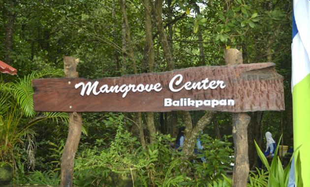 top 10+ gambar hutan mangrove balikpapan, sejarah legenda, lokasi alamat, jalan menuju ke sana + keindahan wisata