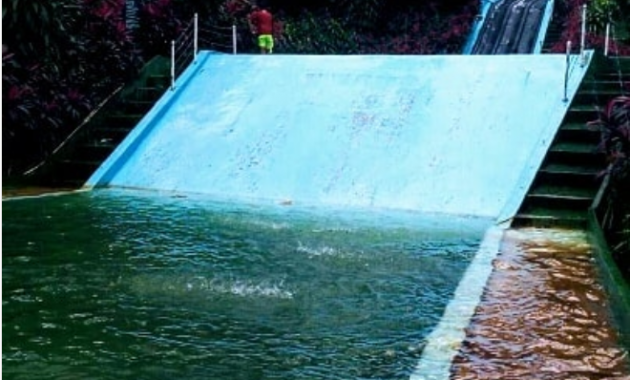 top 10+ gambar jungle water world balikpapan, harga tiket masuk, lokasi alamat, hotel di sekitar, jam buka tutup + nomer telepon