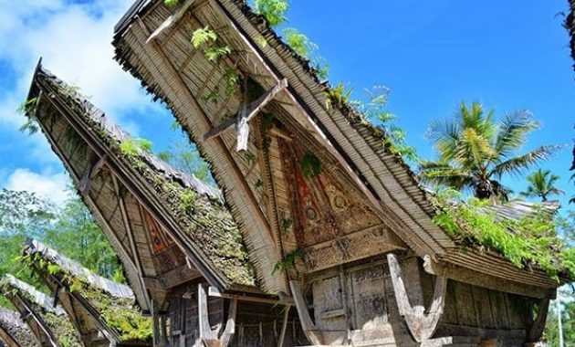 top 10+ gambar ke te kesu makassar, lokasi alamat, penginapan villa di sekitar wisata + akses jalan menuju ke sana