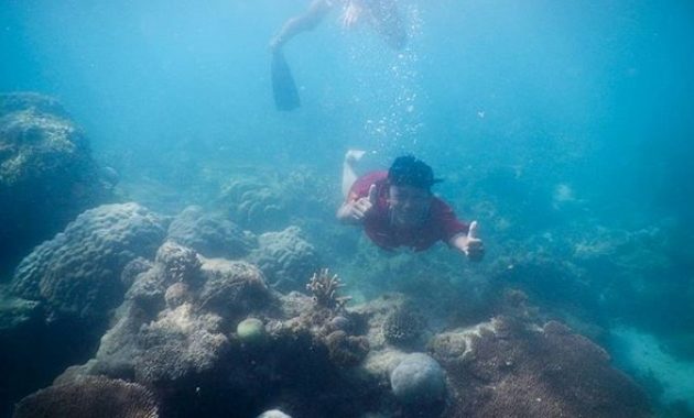top 10+ gambar kepulauan kangean madura, jalan menuju ke sana, lokasi alamat + luar keseluruhan