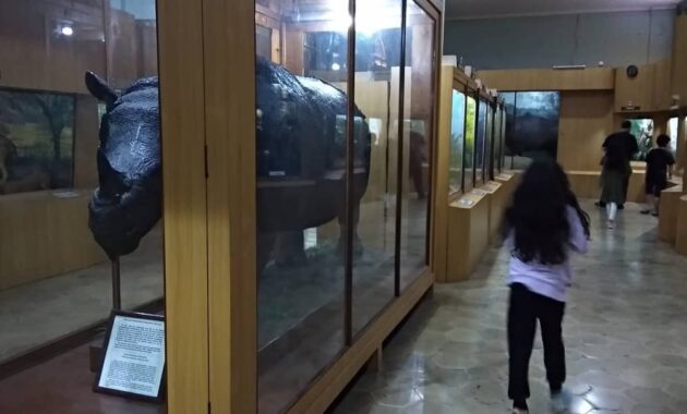 top 10+ gambar museum zoologi bogor, harga tiket masuk, sejarah + alamat kota kebun raya