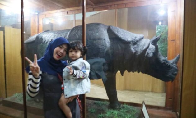 top 10+ gambar museum zoologi bogor, harga tiket masuk, sejarah + alamat kota kebun raya