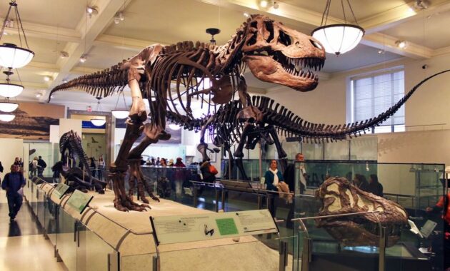 Top 10+ Gambar Museum Zoologi Bogor, Harga Tiket Masuk, Sejarah + Alamat Kota Kebun Raya