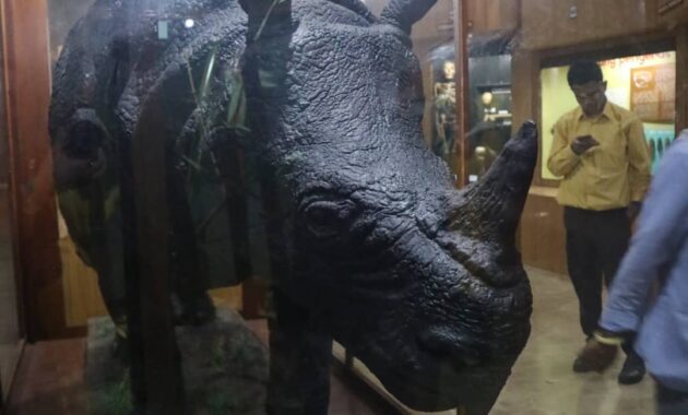 top 10+ gambar museum zoologi bogor, harga tiket masuk, sejarah + alamat kota kebun raya