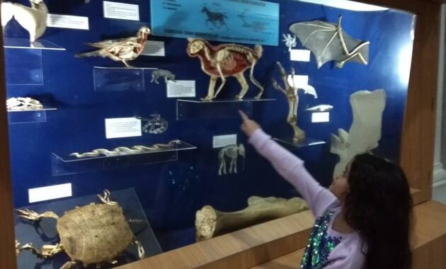 top 10+ gambar museum zoologi bogor, harga tiket masuk, sejarah + alamat kota kebun raya