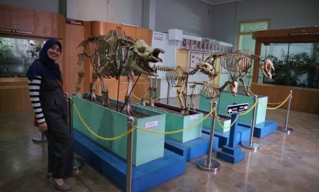 top 10+ gambar museum zoologi bogor, harga tiket masuk, sejarah + alamat kota kebun raya