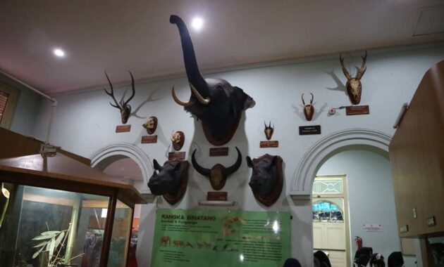 top 10+ gambar museum zoologi bogor, harga tiket masuk, sejarah + alamat kota kebun raya