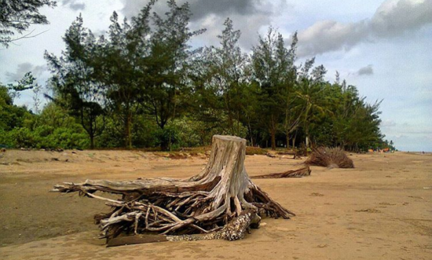 Top 10+ Gambar Pantai Manggar Segarasari Kota Balikpapan, Harga Tiket Masuk, Lokasi Alamat, Hotel di Sekitar + Jam Buka Tutup 