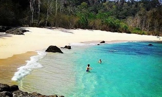 top 10+ gambar pantai rajegwesi banyuwangi + alamat letak rute akses menuju lokasi