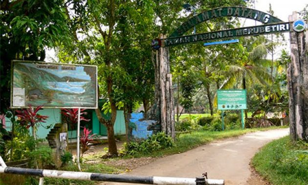 top 10+ gambar pantai rajegwesi banyuwangi + alamat letak rute akses menuju lokasi
