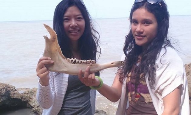 top 10+ gambar pantai rongkang madura, rute menuju wisata, lokasi alamat + keindahan di sekitar