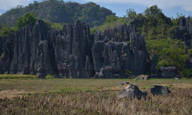 top 10+ gambar pegunungan karst makassar, pengertian manfaat + akses jalan menuju lokasi
