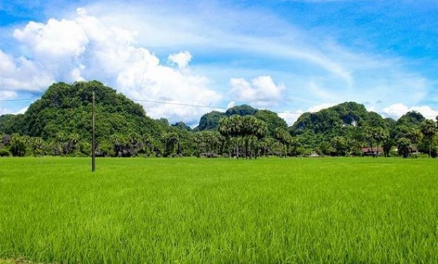top 10+ gambar pegunungan karst makassar, pengertian manfaat + akses jalan menuju lokasi