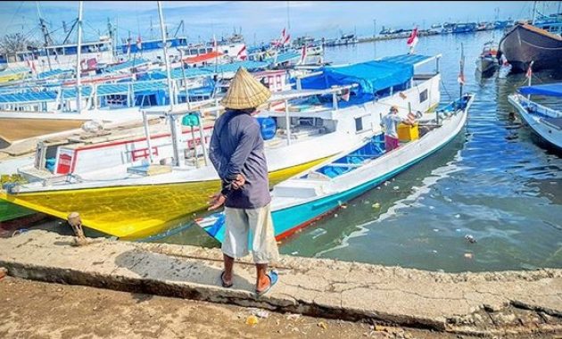 top 10+ gambar pelabuhan paotere makassar, lokasi alamat, pelelangan ikan + akses jalan menuju ke sana