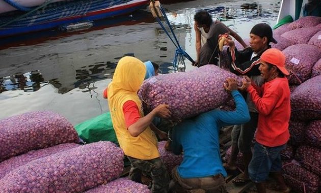 top 10+ gambar pelabuhan paotere makassar, lokasi alamat, pelelangan ikan + akses jalan menuju ke sana