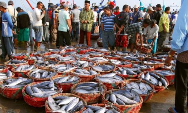 top 10+ gambar pelabuhan paotere makassar, lokasi alamat, pelelangan ikan + akses jalan menuju ke sana