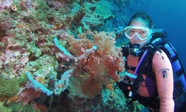 top 10+ gambar pulau kapoposang makassar, lokasi alamat, penginapan di sekitar area + rute jalan menuju wisata