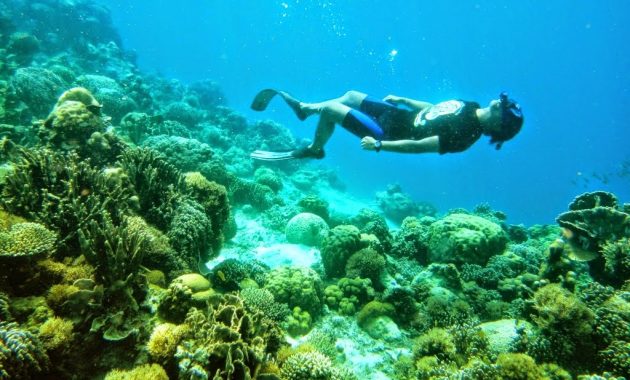 top 10+ gambar pulau kapoposang makassar, lokasi alamat, penginapan di sekitar area + rute jalan menuju wisata
