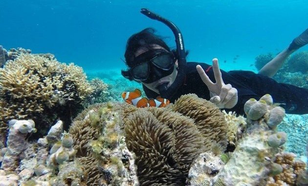 top 10+ gambar pulau kapoposang makassar, lokasi alamat, penginapan di sekitar area + rute jalan menuju wisata