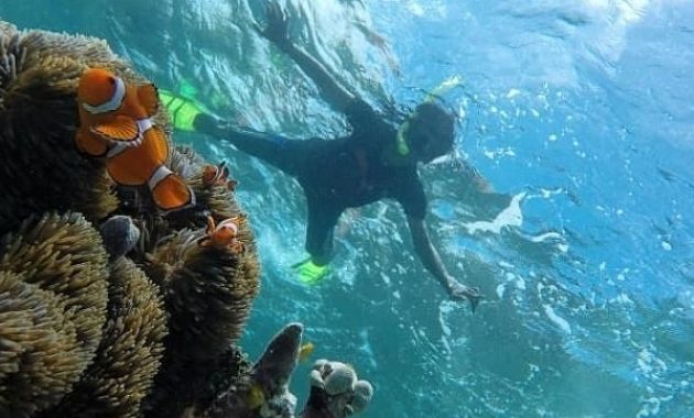 top 10+ gambar pulau kapoposang makassar, lokasi alamat, penginapan di sekitar area + rute jalan menuju wisata