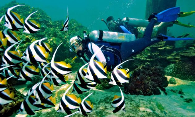 top 10+ gambar pulau langkai makassar, lokasi alamat, luas area + akses jalan menuju wisata