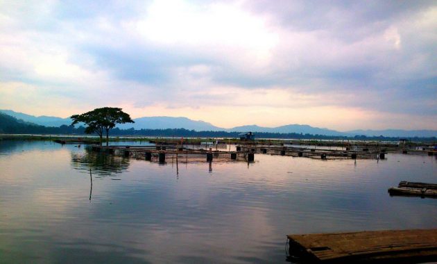 Top 10+ Gambar Rowo Jombor Klaten, Sejarah Asal Usul, Lokasi Alamat, Jam Buka Tutup, Misteri Mitos + Rumah Makan di Dalam Wisata