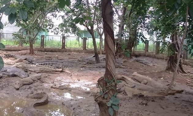 top 10+ gambar taman budaya tangerang, harga tiket masuk, lokasi alamat, villa di sekitar wisata + banyak penangkaran
