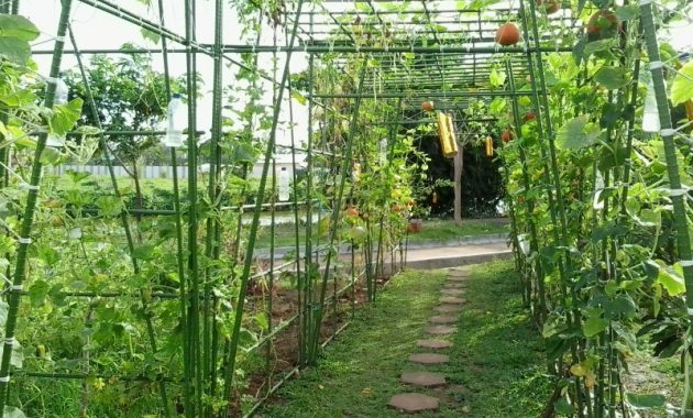 Top 10+ Gambar Taman Maccini Sombala Makassar, Harga Tiket Masuk, Sejarah Asal Usul, Lokasi Alamat, Jam Buka Tutup + Rute Jalan Menuju Wisata