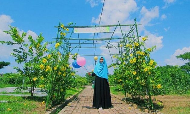 top 10+ gambar taman maccini sombala makassar, harga tiket masuk, sejarah asal usul, lokasi alamat, jam buka tutup + rute jalan menuju wisata