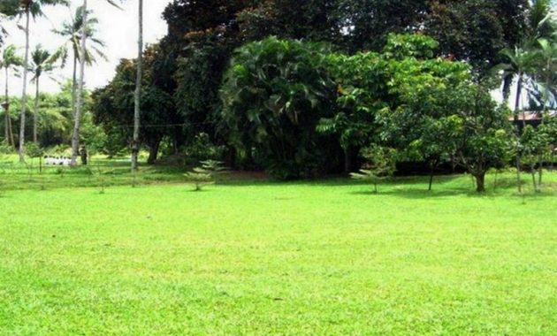 top 10+ gambar tanah tingal tangerang, harga tiket masuk, lokasi alamat, sejarah asal usul + wahana kolam renang outbound