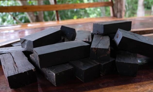top 10+ kayu termahal di dunia, bagaimana dengan kualitasnya?