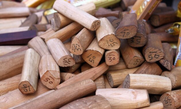 top 10+ kayu termahal di dunia, bagaimana dengan kualitasnya?