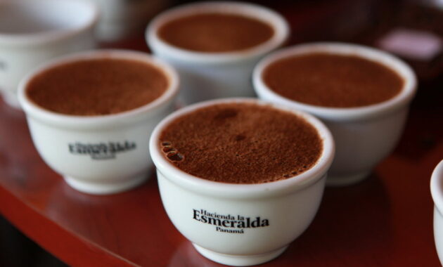 top 10+ kopi termahal di dunia, adakah favoritmu?
