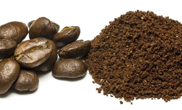 top 10+ kopi termahal di dunia, adakah favoritmu?