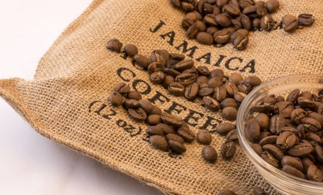 top 10+ kopi termahal di dunia, adakah favoritmu?