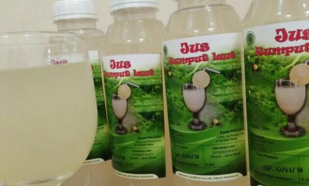 top 10+ macam oleh-oleh khas depok favorit wisatawan