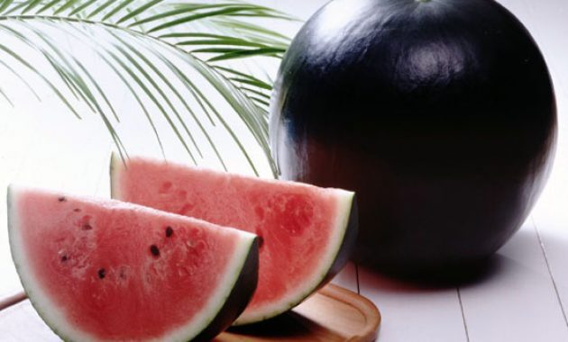 top 10+ makanan termahal di dunia, apakah harganya masuk akal?