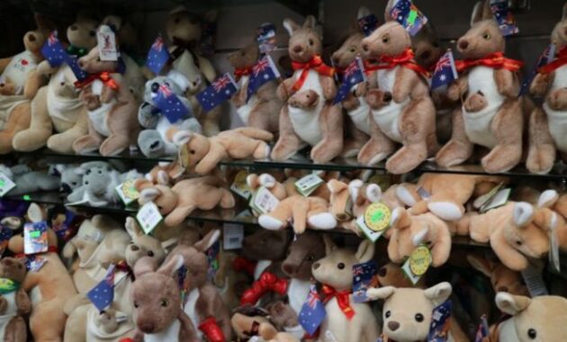 top 10+ oleh-oleh khas australia yang wajib dibawa pulang