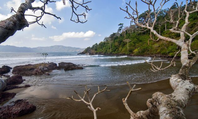 top 10+ pantai bagus di banyuwangi wajib dikunjungi, mana yang bisa untuk snorkeling dan camping?