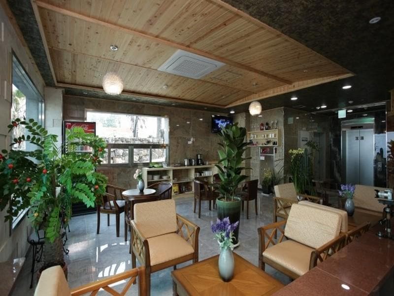 guesthouse di jeju, hotel di jeju, penginapan di jeju, penginapan murah di jeju, penginapan pension di jeju, tempat menginap di jeju, top 10+ penginapan pension di jeju murah & nyaman, dekat pantai, objek wisata dll