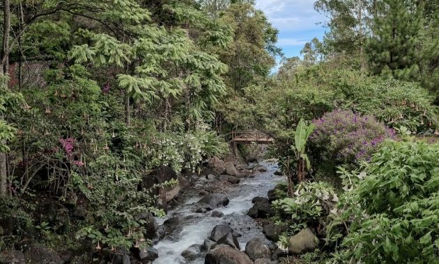 top 10+ potret kampuh becik bandung, villa tengah hutan di kaki gunung puntang dengan suasana asri