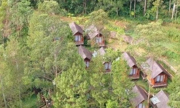 Top 10+ Potret Kampuh Becik Bandung, Villa Tengah Hutan di Kaki Gunung Puntang Dengan Suasana Asri