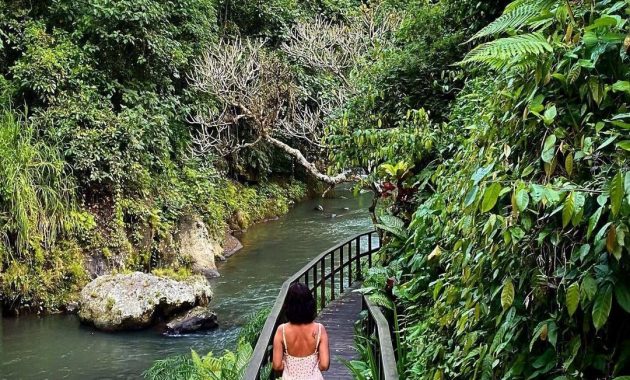 top 10+ potret maya ubud resort, hotel mewah dengan sentuhan alam yang cocok buat bulan madu