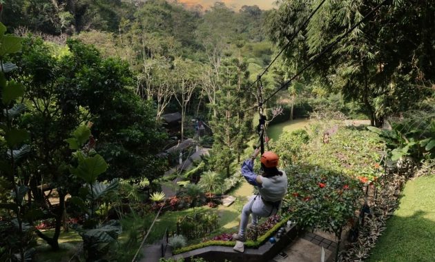 top 10+ potret padma hotel bandung, penginapan mewah yang nyaman di tengah pepohonan rimbun