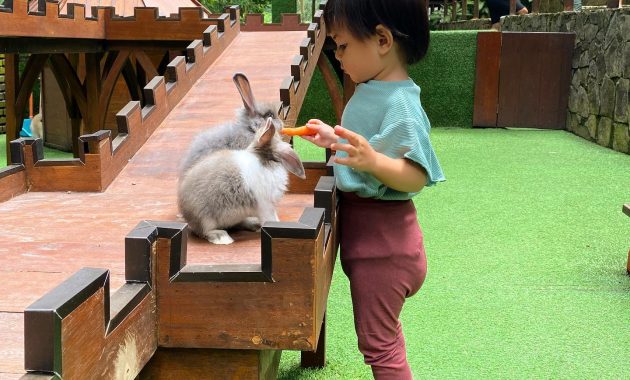top 10+ potret padma hotel bandung, penginapan mewah yang nyaman di tengah pepohonan rimbun